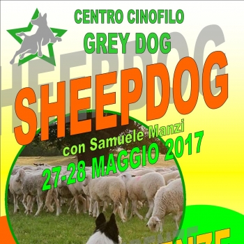 Immagine evento