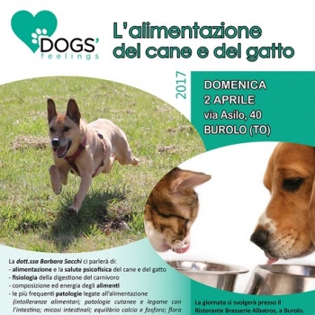 Immagine evento