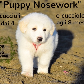 Immagine evento