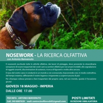 Immagine evento