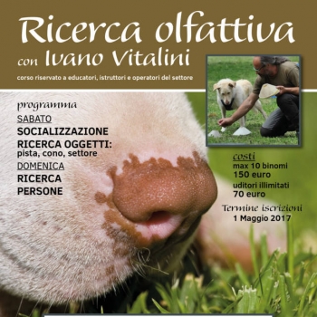 Immagine evento