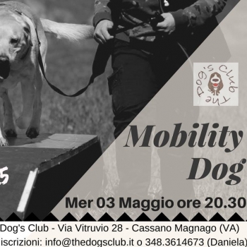 Immagine evento