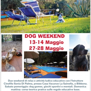 Immagine evento