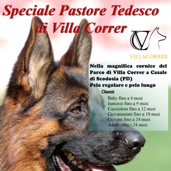 Immagine evento