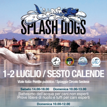 Immagine evento