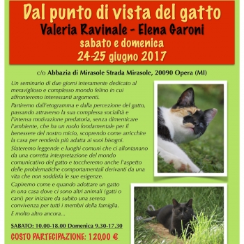 Immagine evento