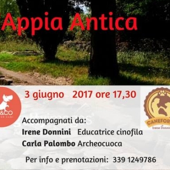 Immagine evento
