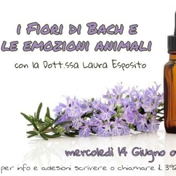 Immagine evento