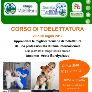 Immagine evento