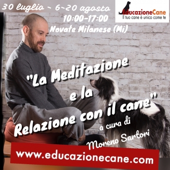 Immagine evento