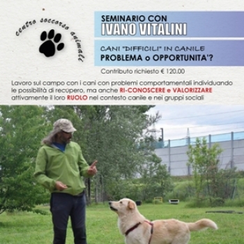 Immagine evento