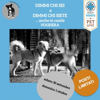 Immagine evento