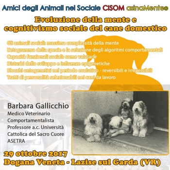 Immagine evento