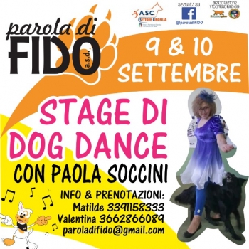 Immagine evento