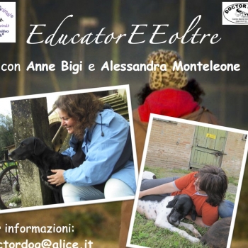 Immagine evento