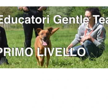 Immagine evento