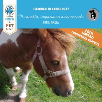 Immagine evento