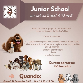 Immagine evento