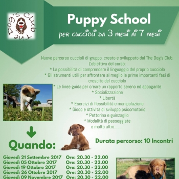 Immagine evento