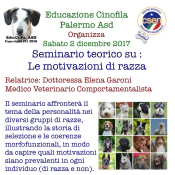 Immagine evento