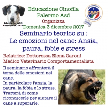 Immagine evento