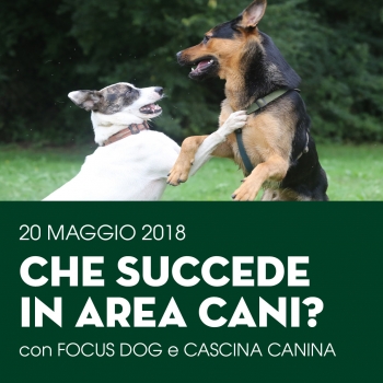 Immagine evento