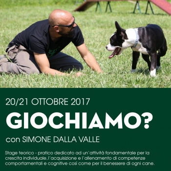 Immagine evento