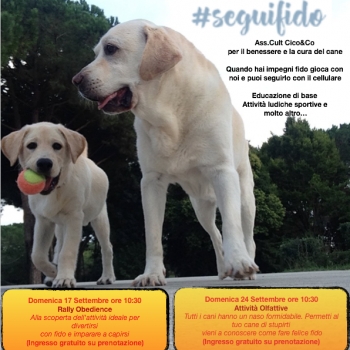 Immagine evento