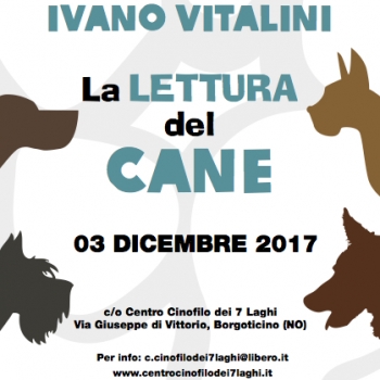 Immagine evento