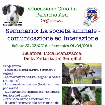 Immagine evento