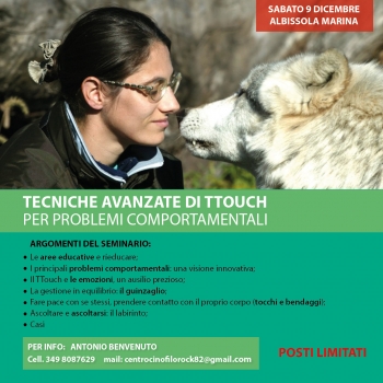 Immagine evento