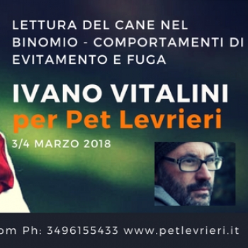 Immagine evento