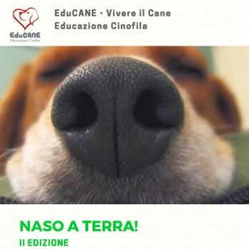 Immagine evento
