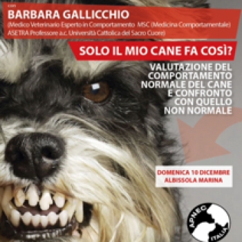 Immagine evento
