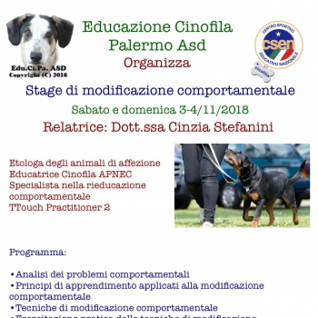 Immagine evento