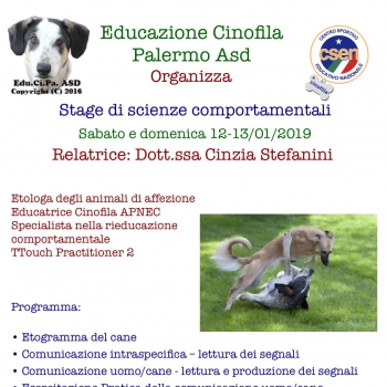 Immagine evento