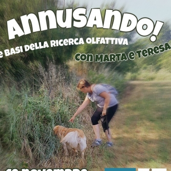 Immagine evento