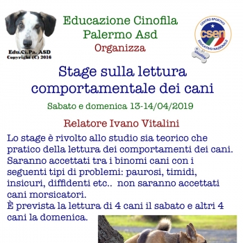 Immagine evento