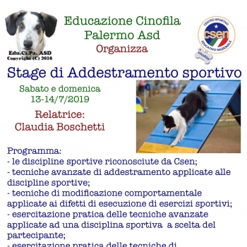 Immagine evento