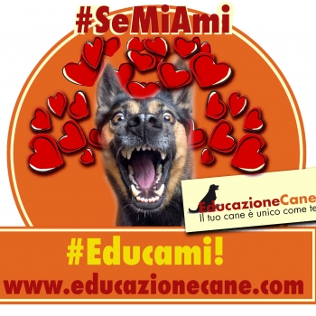 Immagine evento
