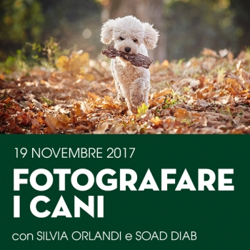 Immagine evento