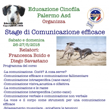 Immagine evento
