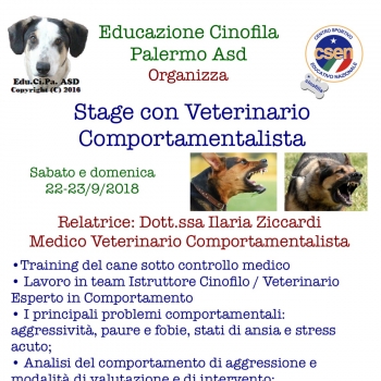 Immagine evento