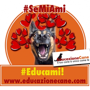 Immagine evento