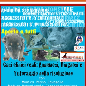 Immagine evento