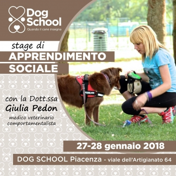 Immagine evento
