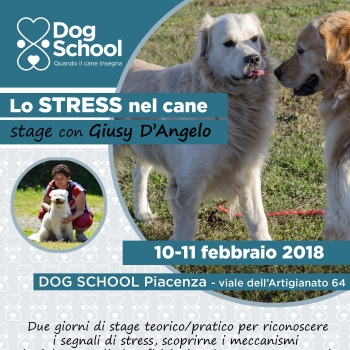 Immagine evento