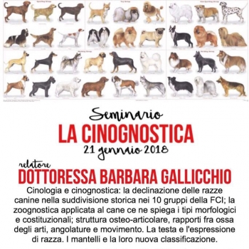 Immagine evento