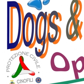Immagine evento