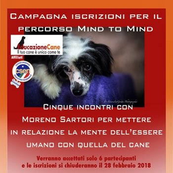 Immagine evento